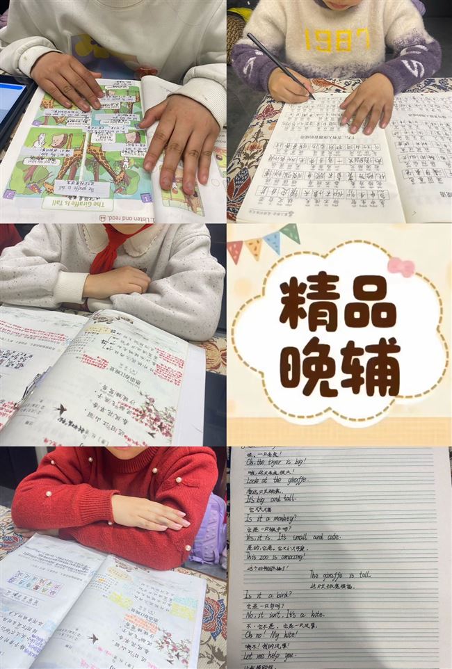 同步晚辅导